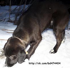 789 X 768 73.1 Kb 768 X 951 97.1 Kb  :   