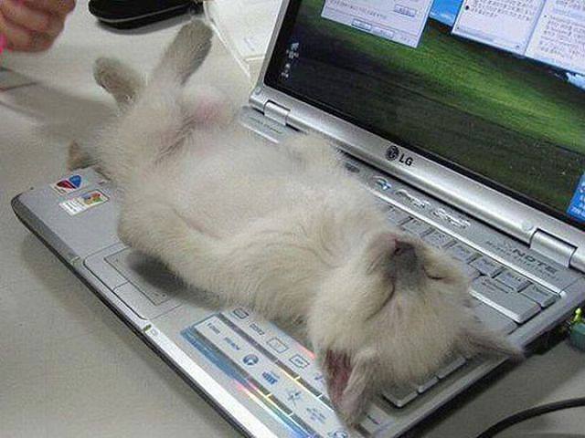 640 x 480 Улыбнемся?
