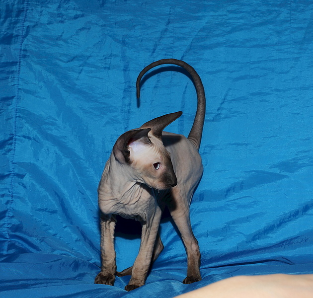 1920 X 1828 914.6 Kb 1920 X 1916 782.1 Kb 1920 X 1888 871.8 Kb   