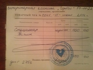 1280 X 960 135.4 Kb Прошу помощи на оплату передержки Рыжика и Кнопки