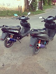 453 X 604 71.5 Kb  Patron Major  