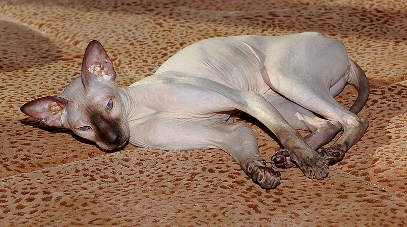 1920 X 1072 974.6 Kb   