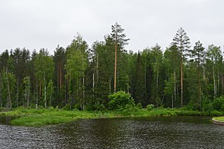 1280 X 851 294.5 Kb 1280 X 851 286.6 Kb 1280 X 851 215.5 Kb 1280 X 851 325.5 Kb 1280 X 851 351.3 Kb Домик малышей 2014 и их родителей