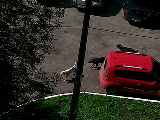 1920 X 1440 759.0 Kb   .  ?