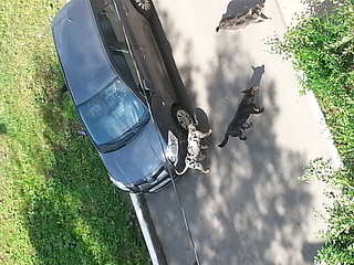 1920 X 1440 826.3 Kb   .  ?