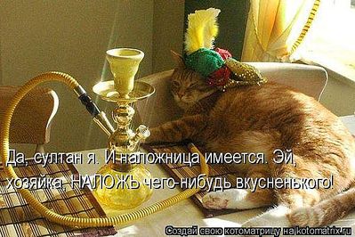 600 X 400  60.1 Kb 750 X 562  74.1 Kb Улыбнемся?
