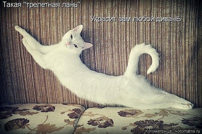 750 X 499 107.4 Kb 600 X 400  60.1 Kb 750 X 562  74.1 Kb Улыбнемся?