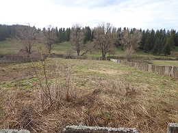 260 x 195 260 x 195 260 x 195   .-, . 1600 ..