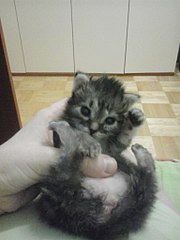 768 X 1024  88.2 Kb   !