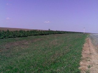 1024 X 768 176.1 Kb /       3   1 . .