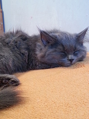 1920 X 2560 252.4 Kb 1920 X 2560 231.2 Kb 1920 X 2560 300.1 Kb     