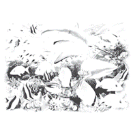 195 x 195 ♛    .  .   !