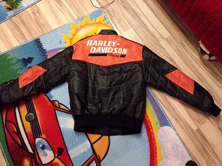 604 X 453  95.4 Kb   Harley Davidson