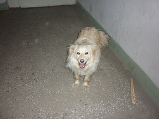 1920 X 1440 648.8 Kb ,    