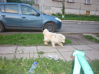 1920 X 1440 705.8 Kb ,    