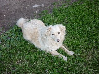 1920 X 1440 889.7 Kb 1920 X 1440 705.8 Kb ,    