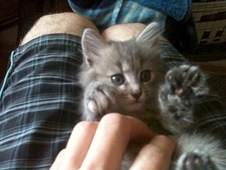 1920 X 1440 765.5 Kb     