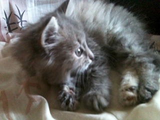 1920 X 1440 747.8 Kb 1920 X 1440 741.6 Kb 1920 X 1440 765.5 Kb     