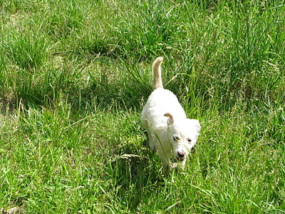 1920 X 1440 633.8 Kb 1920 X 2560 466.4 Kb     