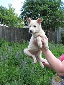 1920 X 2560 571.8 Kb 1920 X 1440 633.8 Kb 1920 X 2560 466.4 Kb     