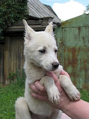 1920 X 2560 811.4 Kb 1920 X 2560 425.7 Kb     