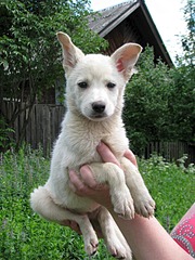 1920 X 2560 396.2 Kb     