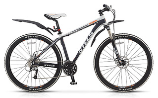 1020 X 629 277.5 Kb +  ski -  Giant Specialized Stels Forward
