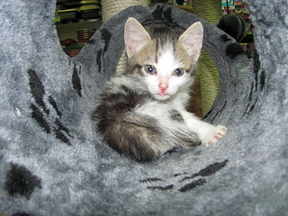 1920 X 1440 787.7 Kb 1920 X 1440 574.5 Kb 1920 X 2560 986.1 Kb  -: ( ) SOS!     !