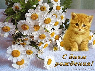 556 X 419  58.6 Kb Пенсионный фонд им.Миши Овчаркина