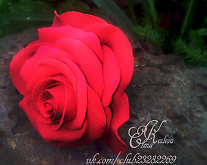 1810 X 1440 185.5 Kb 1920 X 1152 540.7 Kb    