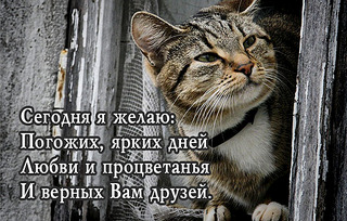 596 X 380 108.6 Kb Пенсионный фонд им.Миши Овчаркина