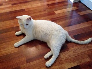 807 X 605  91.8 Kb 807 X 605  88.6 Kb  -    !