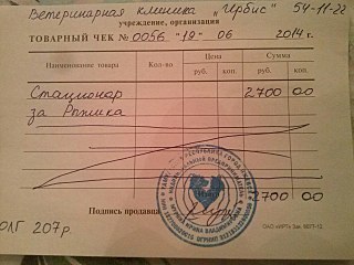 1280 X 960 202.7 Kb Прошу помощи на оплату передержки Рыжика и Кнопки