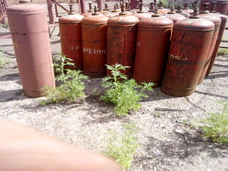 1920 X 1440 610.3 Kb 1920 X 1440 709.5 Kb    / .