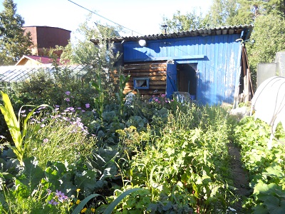 400 x 300 300 X 400 136.2 Kb 2-     ( )