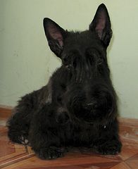 1348 X 1648 176.8 Kb  