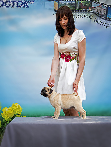 1920 X 2549 792.2 Kb    Coco Chanel Glafira.  .