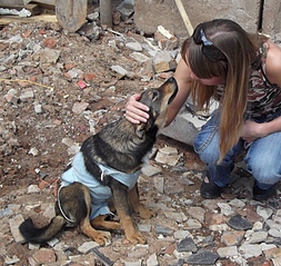 1400 X 1323 780.8 Kb 1400 X 805 566.1 Kb 1400 X 868 634.9 Kb Хорошая собака для хорошего человека