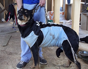 1400 X 1096 873.8 Kb 1400 X 1323 780.8 Kb 1400 X 805 566.1 Kb 1400 X 868 634.9 Kb     