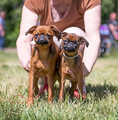 1920 X 1952 286.3 Kb -