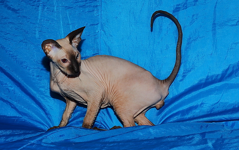 1920 X 1203 293.5 Kb    