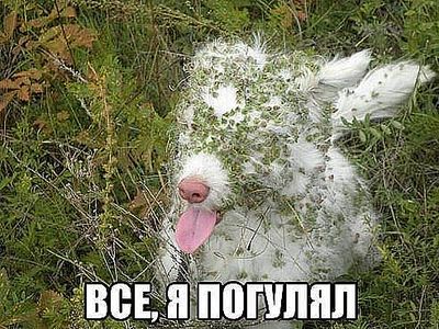 492 X 369 61.4 Kb 500 X 270 20.7 Kb 500 X 345 24.7 Kb Улыбнемся?