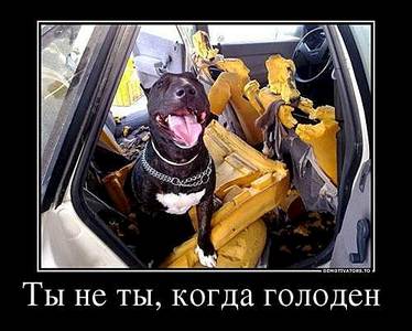 500 X 401 34.3 Kb 500 X 426 29.1 Kb 492 X 369 61.4 Kb 500 X 270 20.7 Kb 500 X 345 24.7 Kb Улыбнемся?