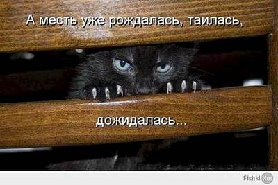 500 X 334 24.9 Kb 604 X 453 83.4 Kb 470 X 480 35.2 Kb Улыбнемся?