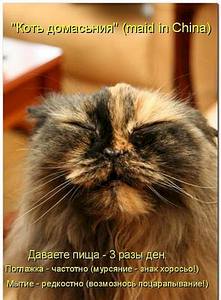 354 X 480 30.4 Kb 379 X 480 31.8 Kb 500 X 489 34.8 Kb 322 X 480 17.3 Kb Улыбнемся?