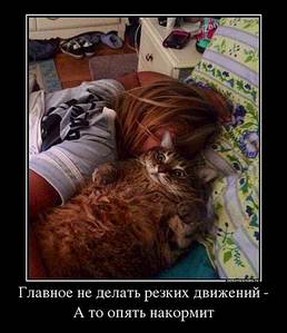 500 X 580 38.6 Kb 354 X 480 30.4 Kb 379 X 480 31.8 Kb 500 X 489 34.8 Kb 322 X 480 17.3 Kb Улыбнемся?