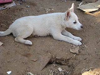 1280 X 960 288.8 Kb 1280 X 960 264.6 Kb     