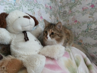 1920 X 1440 136.2 Kb 1920 X 1440 173.0 Kb ,    