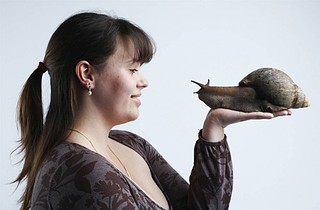 990 X 650 91.7 Kb 640 X 440 39.5 Kb 1200 X 1059 154.7 Kb Улитки ахатины!