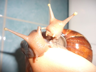 1920 X 1440 350.1 Kb 1920 X 1440 364.8 Kb 1920 X 1440 750.9 Kb 800 X 512  81.9 Kb  !